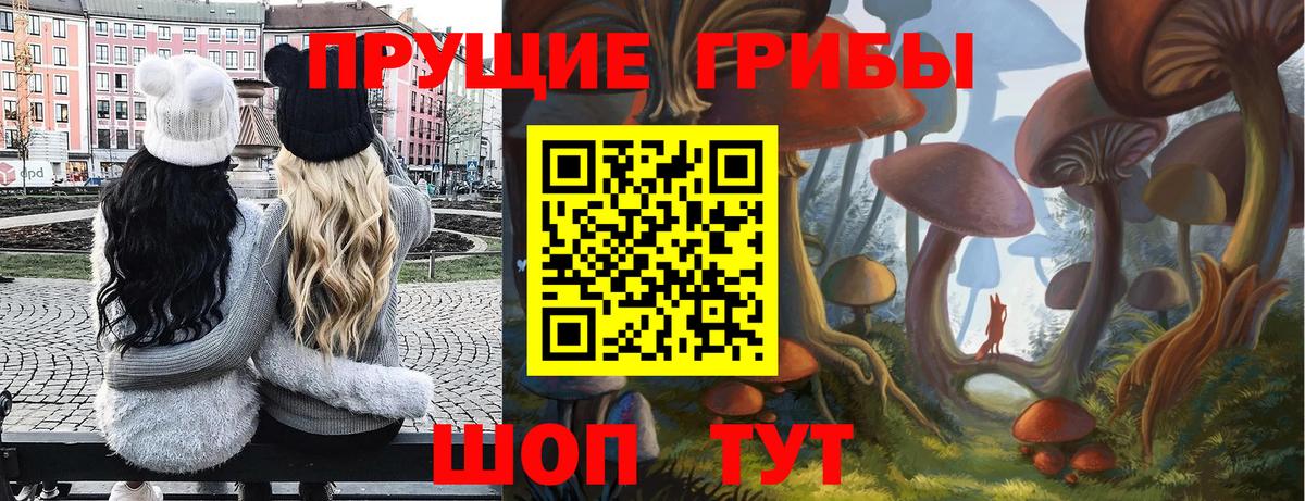 Солнечногорск  Псилоцибиновые грибы мухоморы  Вход с VPN 